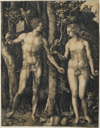 Aatami ja Eeva tekijältä Albrecht Dürer