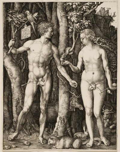 Aatami ja Eeva tekijältä Albrecht Dürer