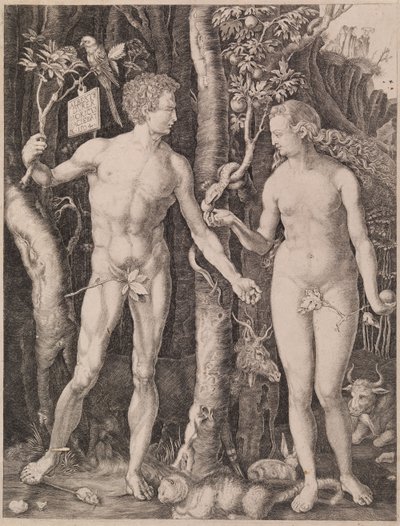 Aadam ja Eeva tekijältä Albrecht Dürer
