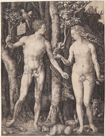  tekijältä Albrecht Dürer
