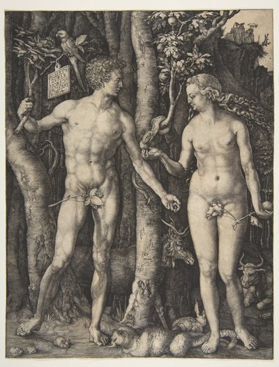  tekijältä Albrecht Dürer
