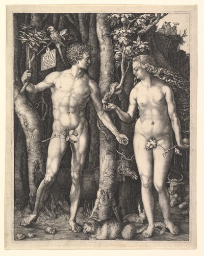  tekijältä Albrecht Dürer