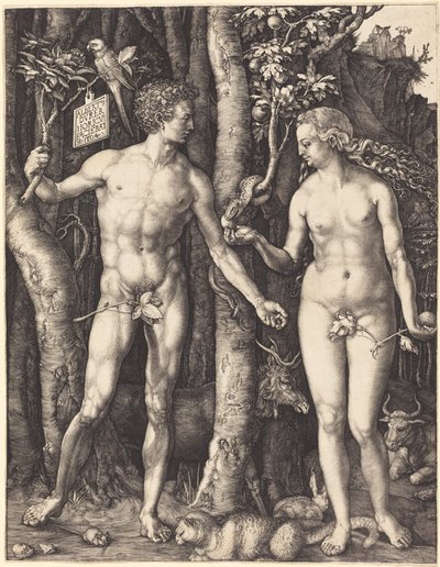 tekijältä Albrecht Dürer