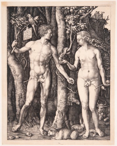  tekijältä Albrecht Dürer