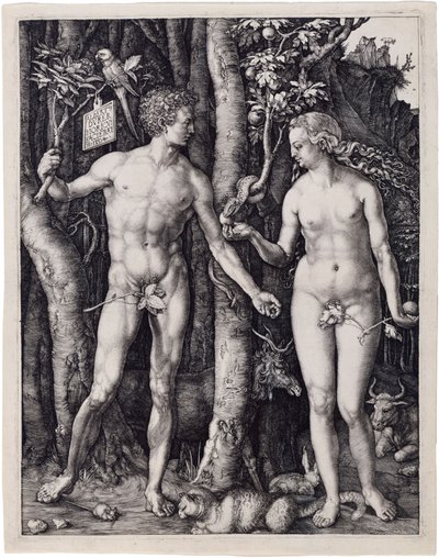  tekijältä Albrecht Dürer