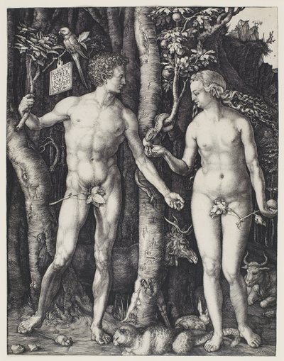 Aatami ja Eeva tekijältä Albrecht Dürer