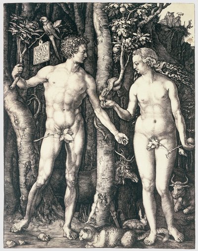 Perisynti tekijältä Albrecht Dürer