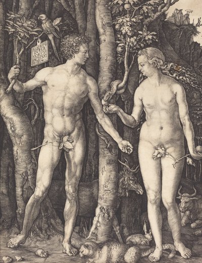 Aadam ja Eeva, 1504. tekijältä Albrecht Dürer