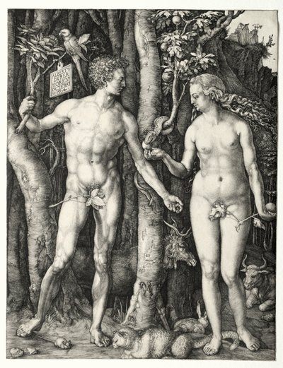 Aadam ja Eeva, 1504. tekijältä Albrecht Dürer