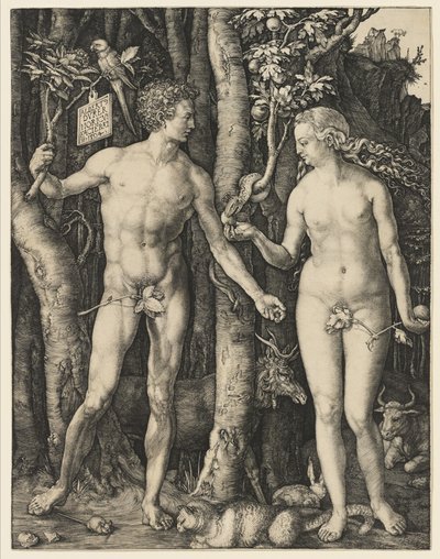 Aadam ja Eeva, 1504 tekijältä Albrecht Dürer