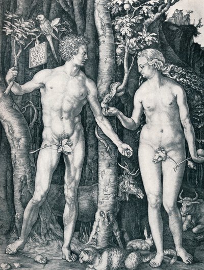 Aadam ja Eeva, 1504 1906 tekijältä Albrecht Dürer