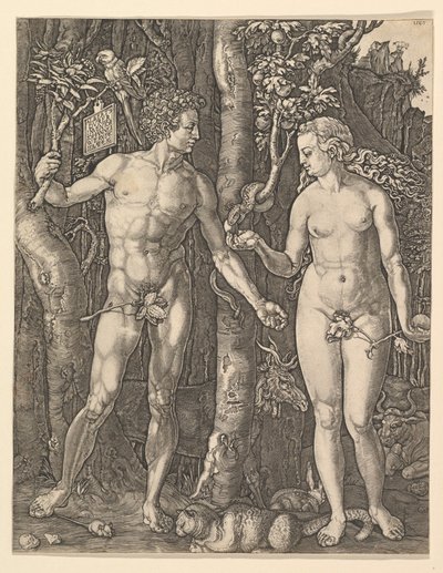 Aadam ja Eeva, 1566. tekijältä Albrecht Dürer