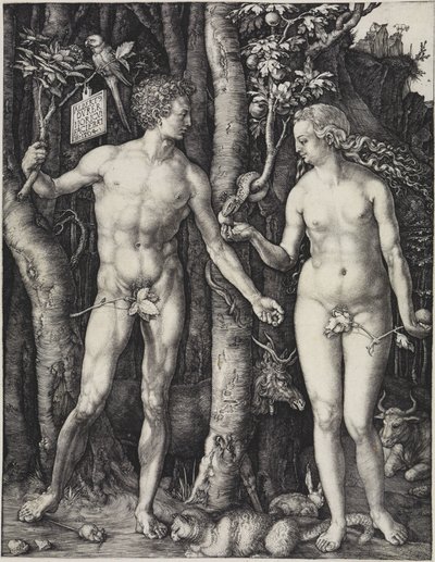  tekijältä Albrecht Dürer