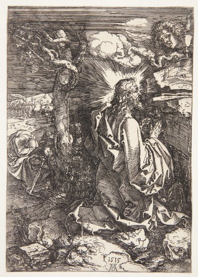 Piha puutarhassa tekijältä Albrecht Dürer