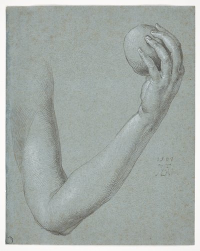 Eevan käsivarsi tekijältä Albrecht Dürer