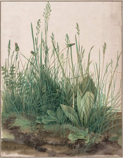 Das große Rasenstück tekijältä Albrecht Dürer