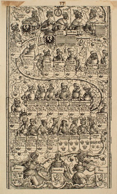 Yksityiskohta 17 tekijältä Albrecht Dürer