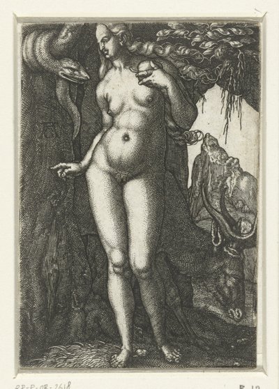 Eva tekijältä Albrecht Dürer