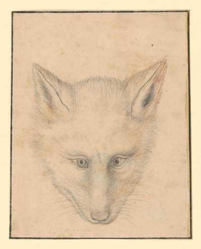 Kettupää, edestä katsottuna tekijältä Albrecht Dürer