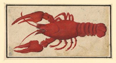  tekijältä Albrecht Dürer