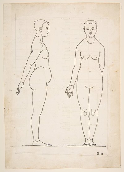 IIKuvaus Dürerin Four Books of Human Proportion -kirjasta, Nürnberg, 1528.n.d. tekijältä Albrecht Dürer