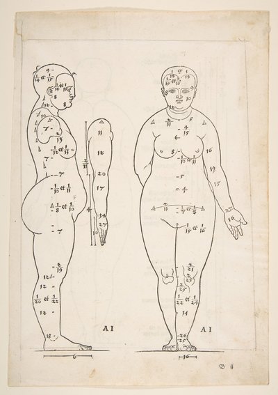 Kuvitus Dürerin teoksesta Four Books of Human Proportion, Nürnberg, 1528.n.d. tekijältä Albrecht Dürer