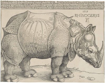 Latinaa:  Rhinocerus Sarvikuono. tekijältä Albrecht Dürer