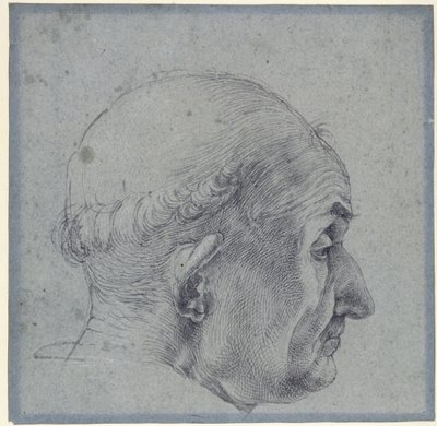 Miehen pää profiilista tekijältä Albrecht Dürer