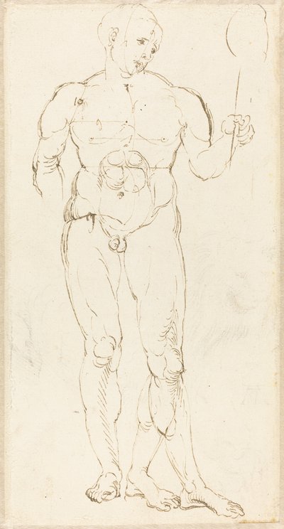 Mies alaston peiliä pitelevä [recto] tekijältä Albrecht Dürer