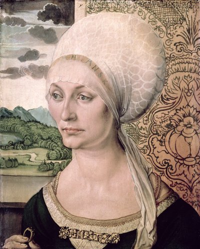 Elsbeth Tucherin muotokuva, 1499 tekijältä Albrecht Dürer
