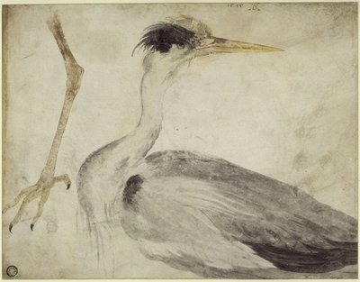  tekijältä Albrecht Dürer