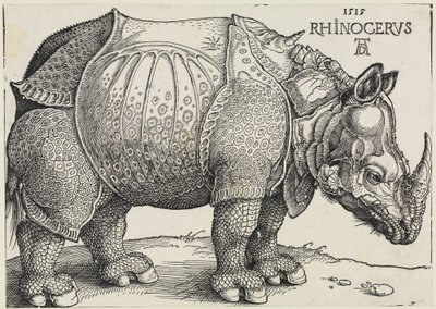 Sarvikuono tekijältä Albrecht Dürer