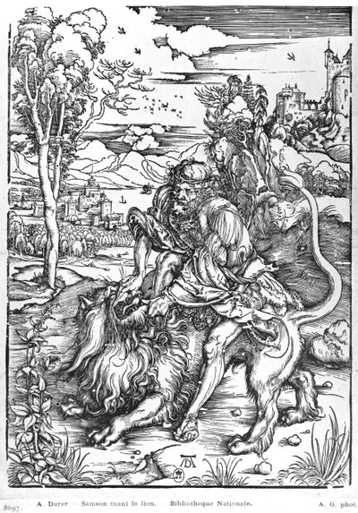 Simson surmaamassa leijonaa, n. 1496-1498 tekijältä Albrecht Dürer