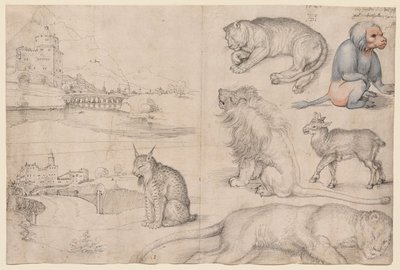 tekijältä Albrecht Dürer