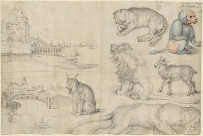 Luonnoksia eläimistä ja maisemista, 1521. tekijältä Albrecht Dürer
