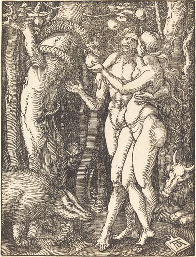 Ihmisen lankeemus tekijältä Albrecht Dürer