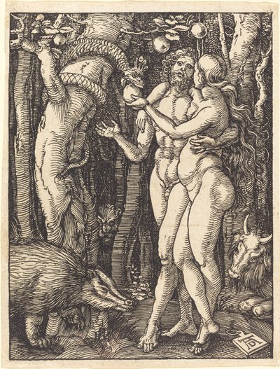 Ihmisen lankeemus tekijältä Albrecht Dürer