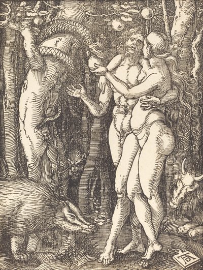 Ihmisen lankeemus, luultavasti n. 15091510. tekijältä Albrecht Dürer
