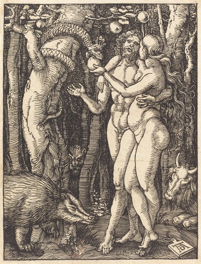 The Fall of Man, luultavasti n. 15091510. tekijältä Albrecht Dürer