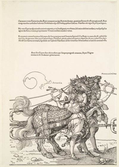  tekijältä Albrecht Dürer