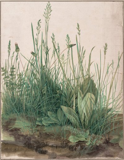Suuri pala nurmikkoa, 1503 tekijältä Albrecht Dürer