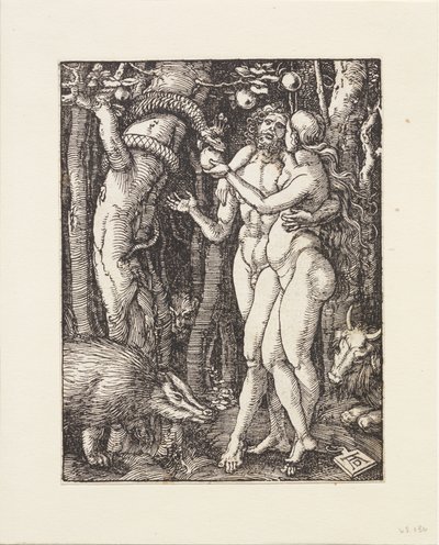 Pieni passio: Syntiinlankeemus tekijältä Albrecht Dürer
