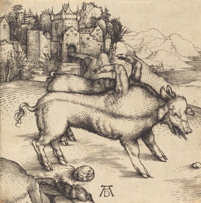 The Monstrous Pig of Landser, luultavasti 1496. tekijältä Albrecht Dürer