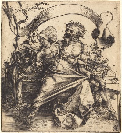 Ravisher tekijältä Albrecht Dürer