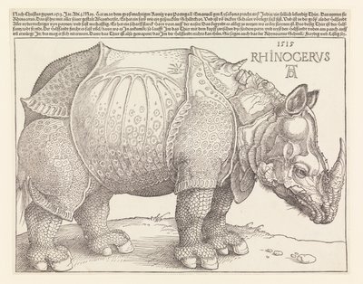 Sarvikuono tekijältä Albrecht Dürer