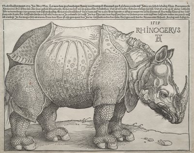 Sarvikuono tekijältä Albrecht Dürer