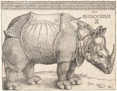  tekijältä Albrecht Dürer