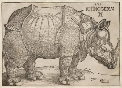 Sarvikuono tekijältä Albrecht Dürer