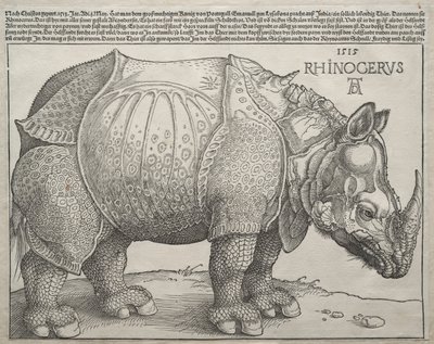 Sarvikuono, 1515. tekijältä Albrecht Dürer
