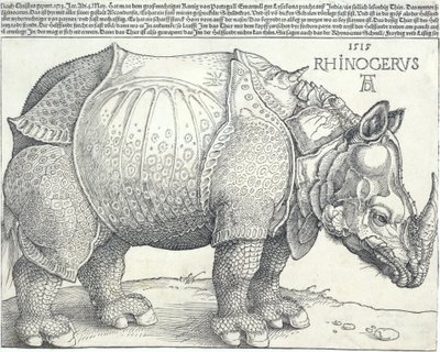 Sarvikuono, 1515, 1515. tekijältä Albrecht Dürer